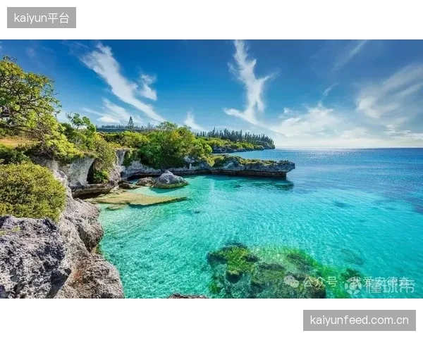 牙买加队纸面实力占据绝对优势，但新喀里多尼亚的整体性与战术执行力不容小觑。